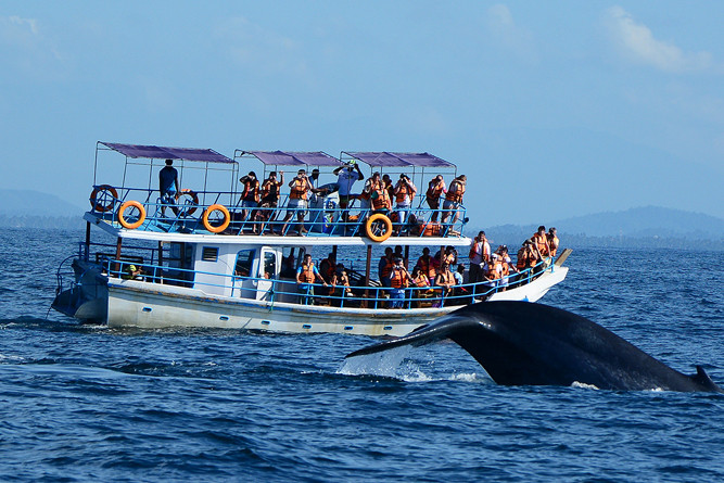 Highlights of Sri Lanka