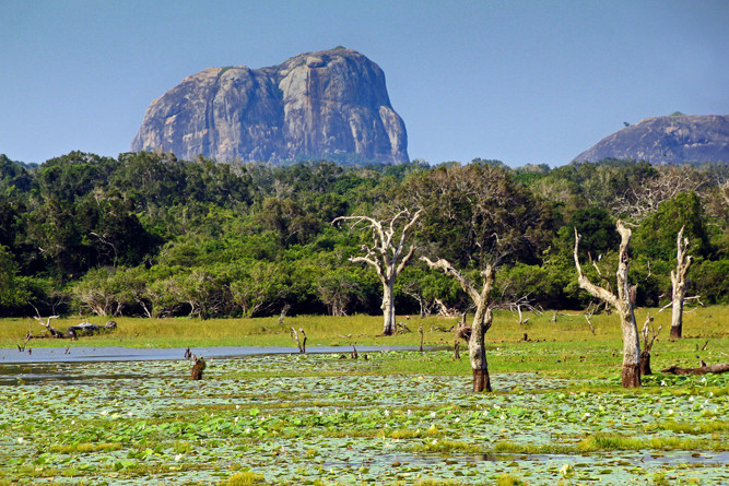 Wildlife & Beach Escape