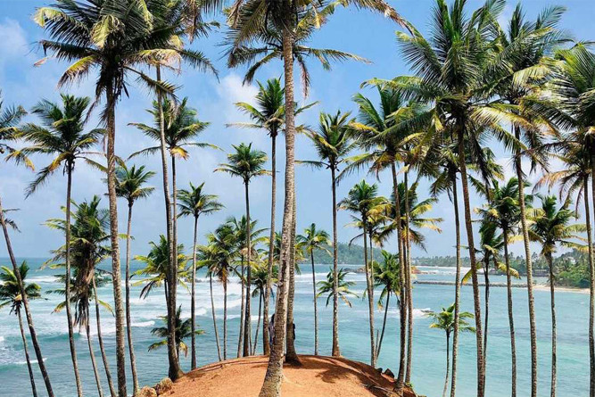 Wildlife & Beach Escape