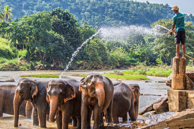 Wildlife & Beach Escape