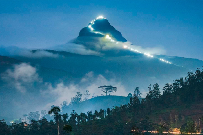 Luxury Villas Escape