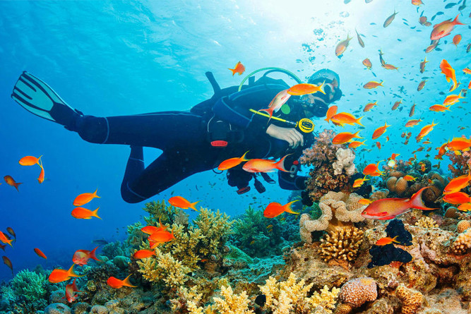 Luxury Villas Escape