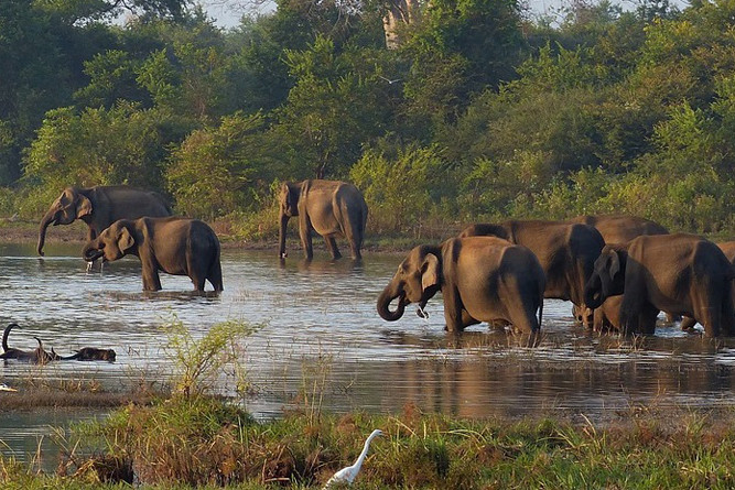 Highlights of Sri Lanka